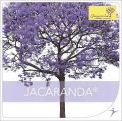 JACARANDA