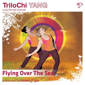 Flying Over The Sea