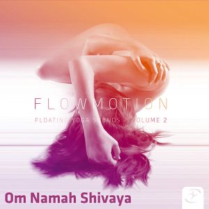 Om Namah Shivaya