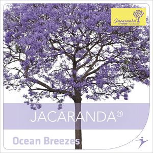 Ocean Breezes