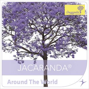 Around The World